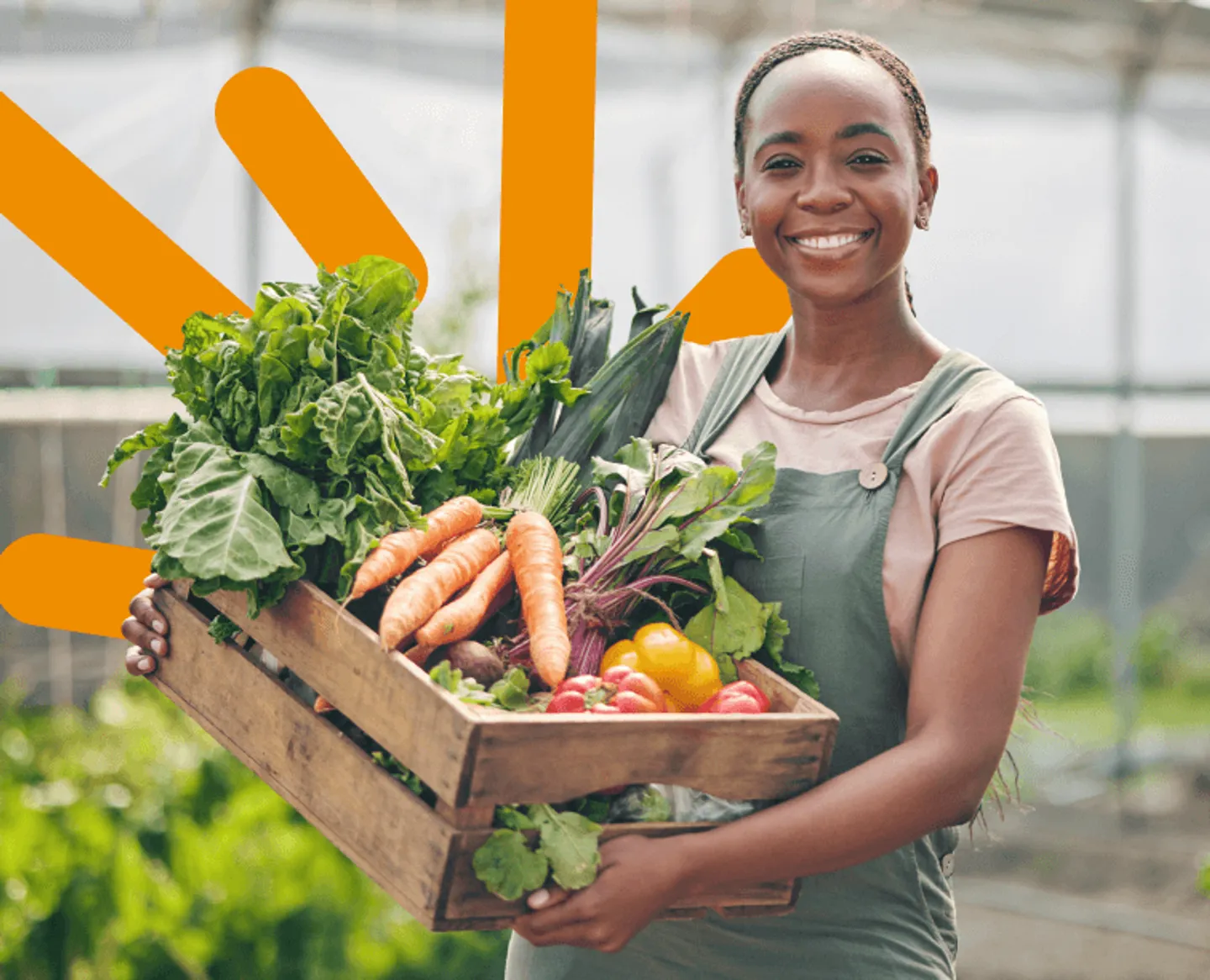 Telkom Need Business Funding 