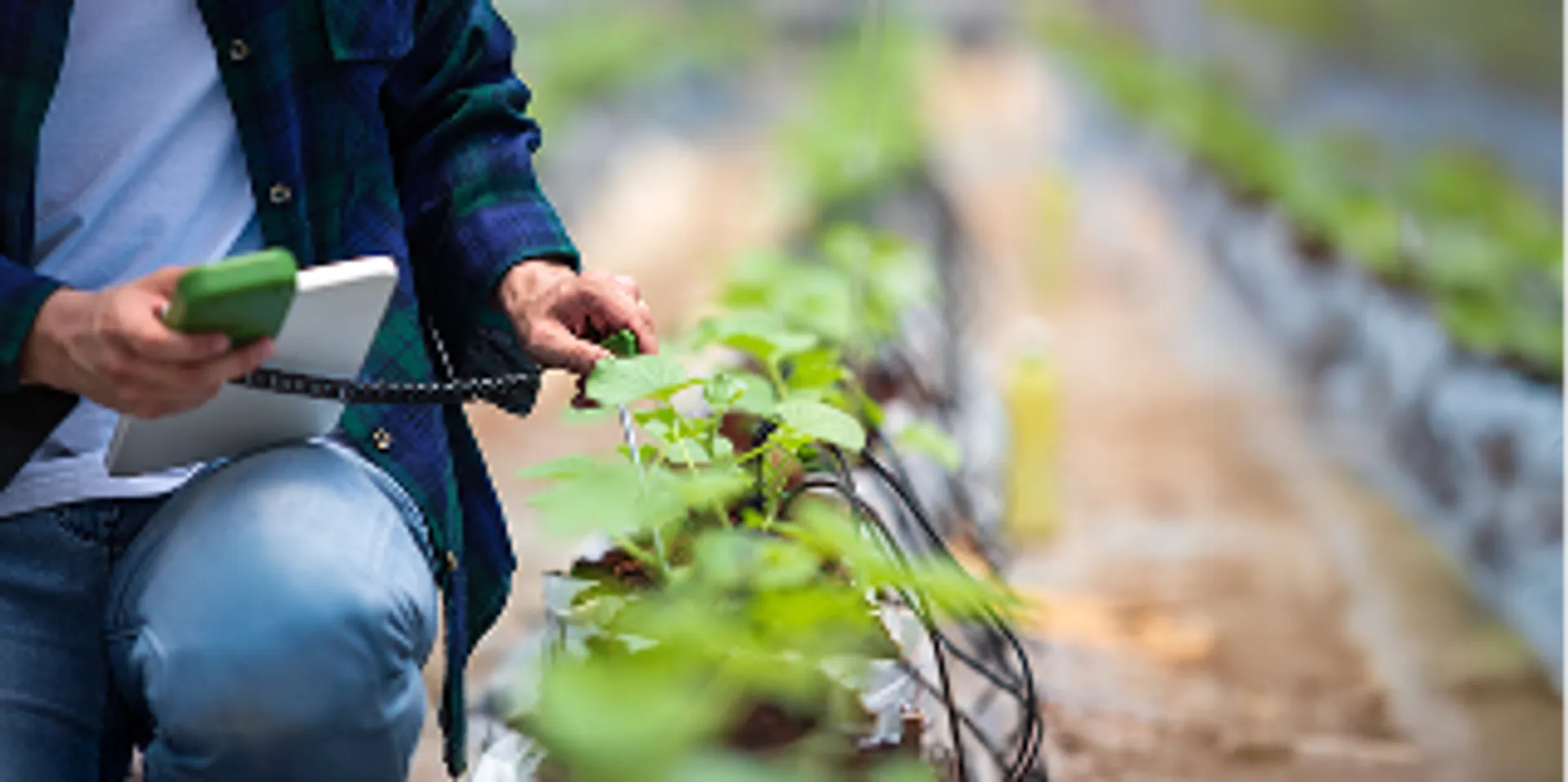 Smart crop & soil monitoring