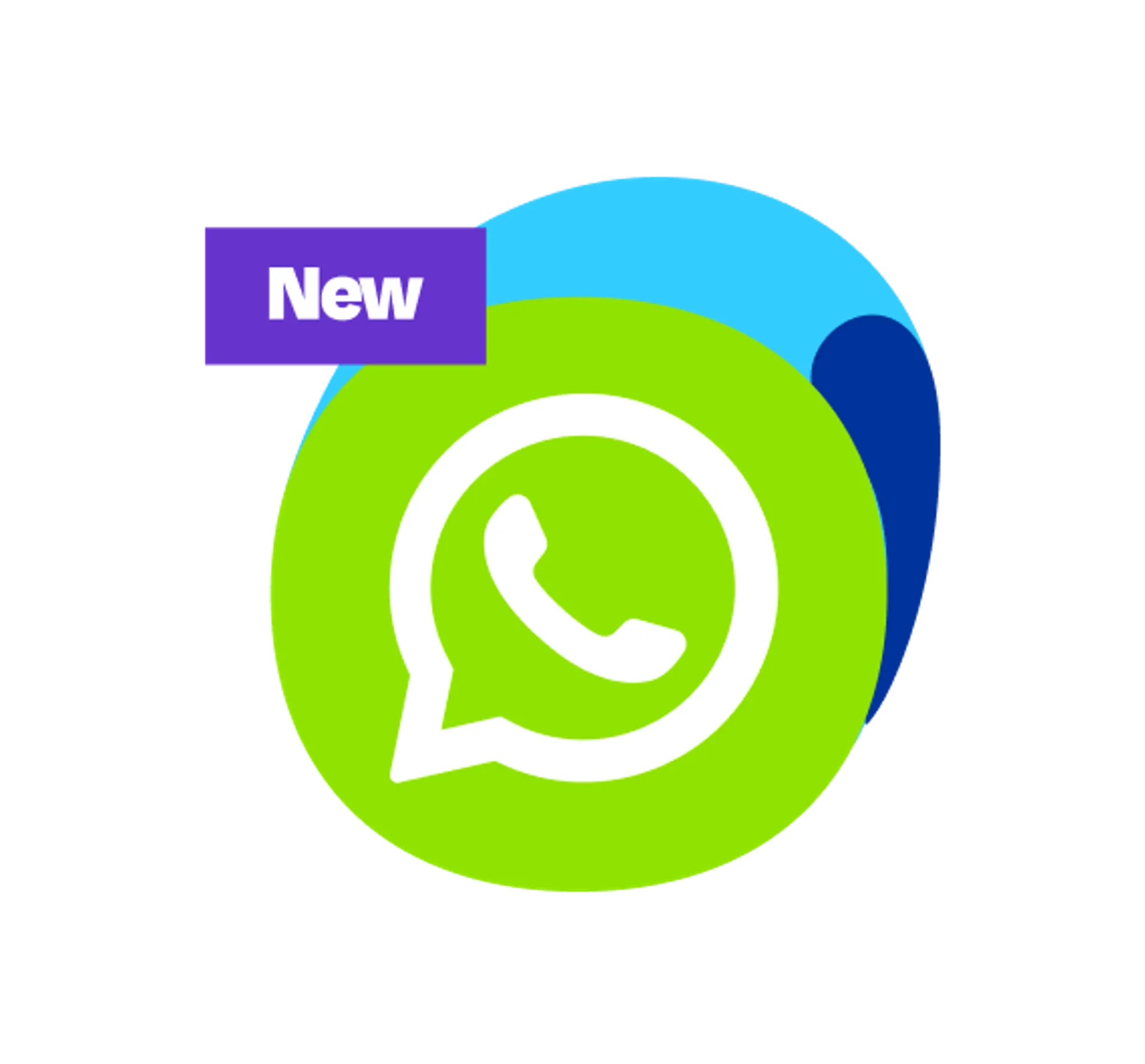 Unlimited Monthly WhatsApp